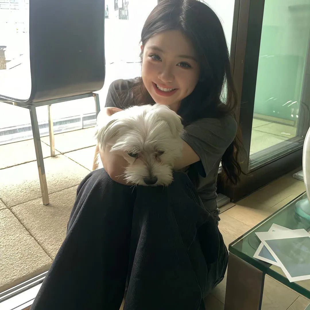 几度菊花香